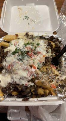 Queso fries with Carne asada