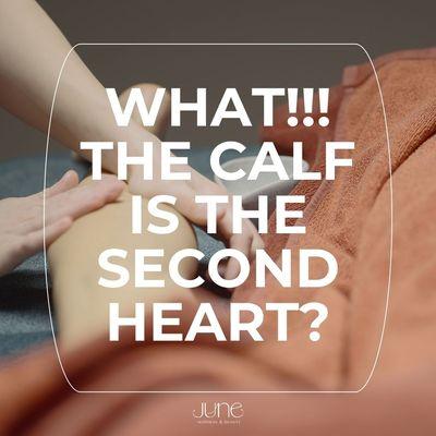 What!!! The calf is the second heart _June wellness and beauty