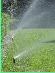 Irrigation sprinkler spray heads for small turf areas and shrubs