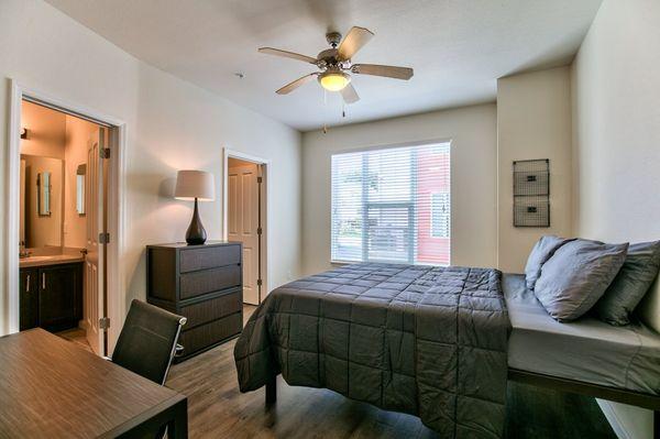 Arive850 - Student Housing Apartment Complex.   Bedroom (1 of 4)