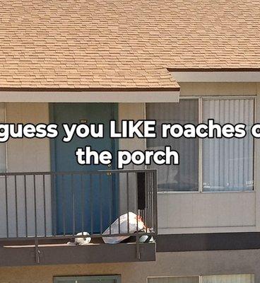 Guess you like roaches everywhere