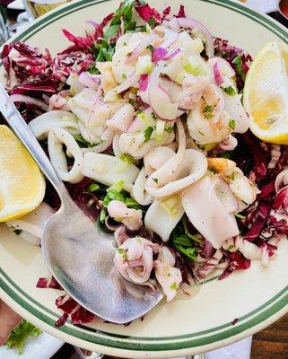 Squid and Shrimp Salad