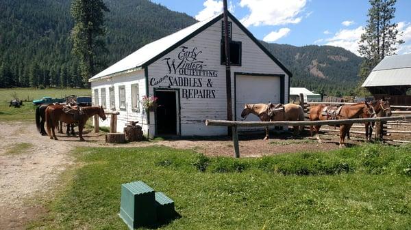 We went on  a 2 hour ride. The horses were calm & gentle. The owner & guide were great! We would do this again, for sure. Good prices too.