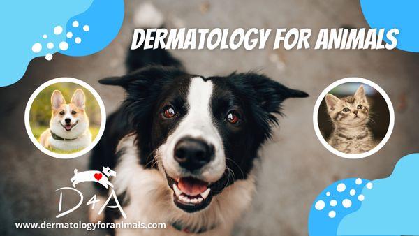 Dermatology for Animals - Oakland