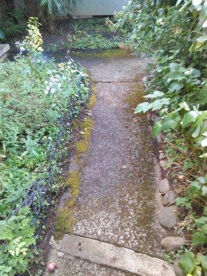 Walkway before pressure washing