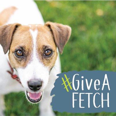 Camp Bow Wow Monument GiveAFetch Campaign -- celebrating responsible pet ownership