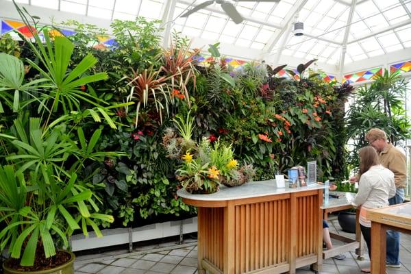 Florafelt Vertical Garden at the San Francisco Conservatory of Flowers.