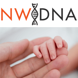 Northwest DNA Testing