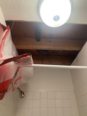 Shower ceiling