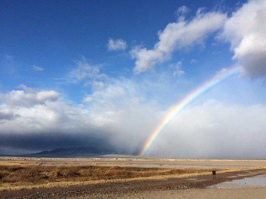 Desert rainbow at Tecopa Massage