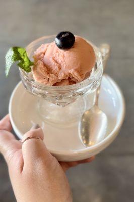 Mamey ice cream