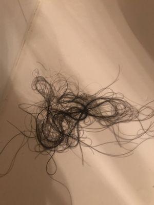 Hair shedding and tangle after washing