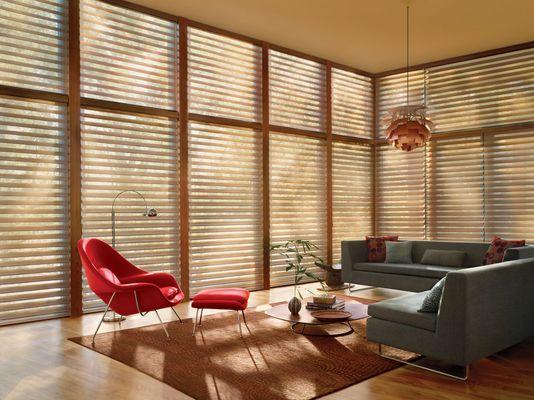 Hunter Douglas Silhouette Window Shades