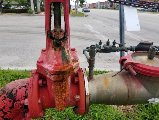 Leaking fire sprinkler backflow.