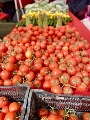 Tomatoes