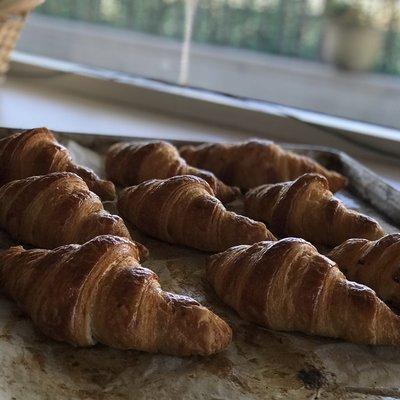 Plain Butter Croissants