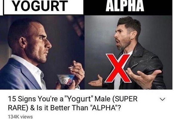 Yogurt is best