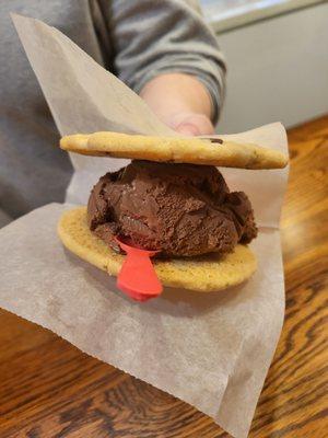 Ice cream sandwich