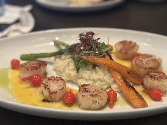 Scallops and risotto