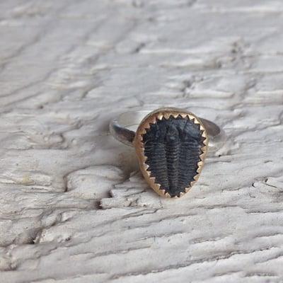 Trilobite Fossil Ring