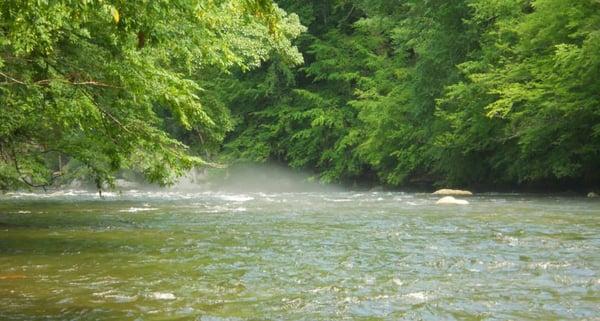 River at the back of the camp site