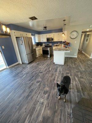 Vinyl flooring installed by Richard & Romero.