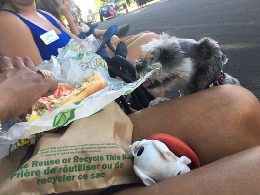 07.07.16 Aurora Summer Concert in the park at Meadowood Park  Even Roxy loved the sub!