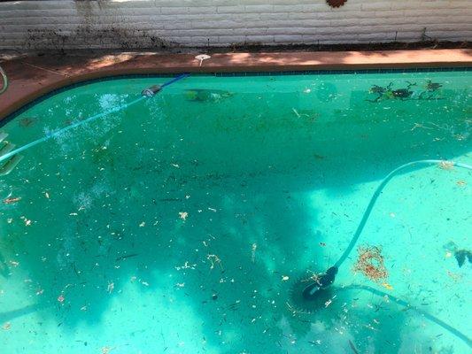 I prepaid for two months. I will be canceling and requesting a full refund. I have green growing inside my pool.