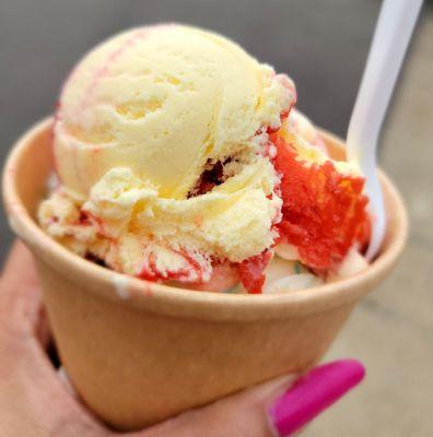 Erie County Fair Nick Charlaps Ice Cream