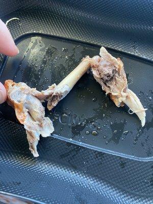 Rotten bone with foul smell