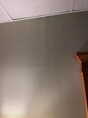 Green slime dripping from ceiling