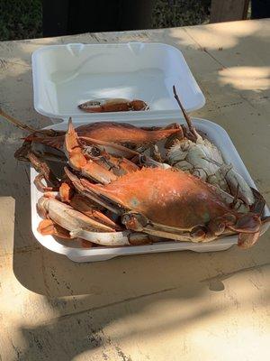 Annual Biloxi Seafood Festival - September