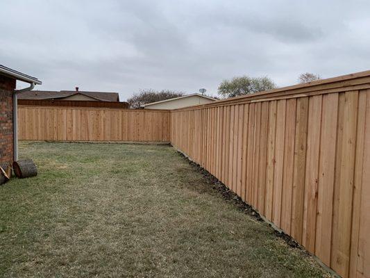 The inside of the fence. The fence looks amazing.