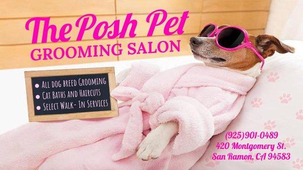 The Posh Pet Grooming Salon