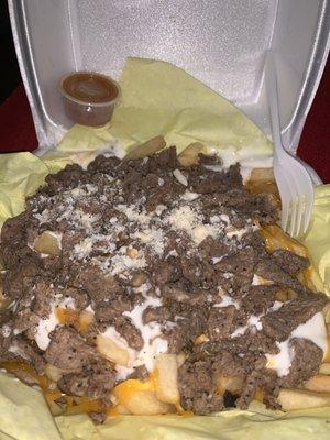 Carne Asada Fries (asked for no guac)