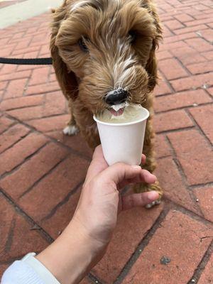 Pup cup