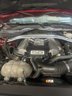 V8 mustang 5.0 serviced