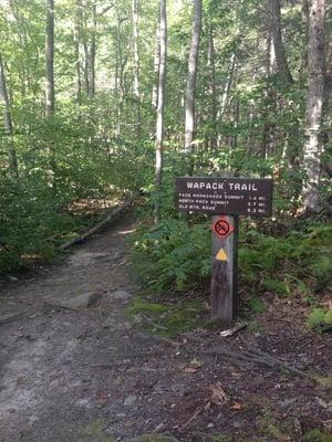 Wapack Trail sign.