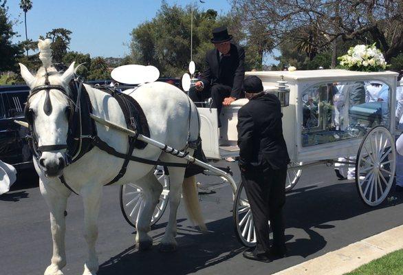 Horse and carriage near graveside.