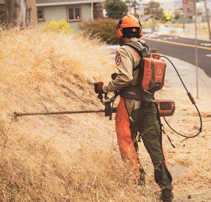 Roadside clearing, with battery-powered machine.