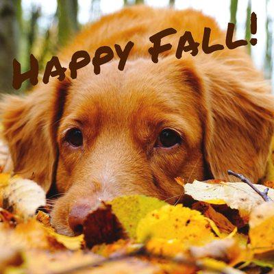 Happy Fall!