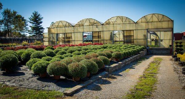 Red Barn Nursery