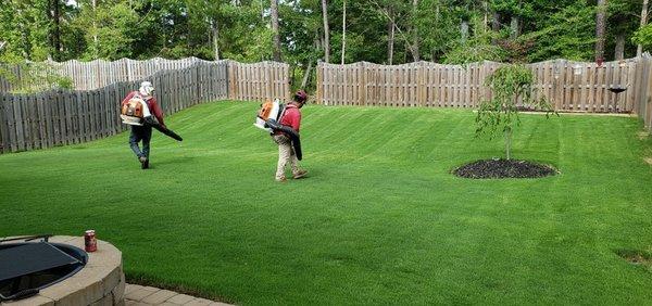 Lawn Maintenance of Bermuda grass