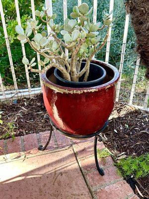 I refinished this wrought iron planter stand !