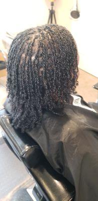 Starter Locs
Interlocked