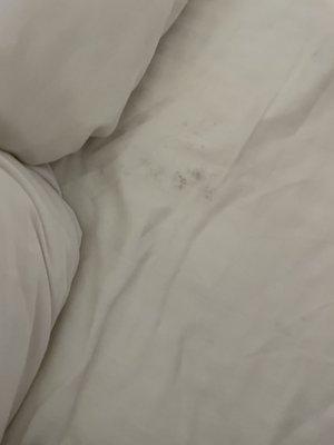 Dirty sheets