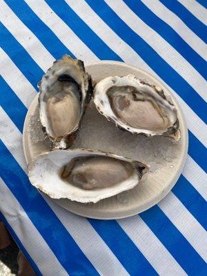 oysters