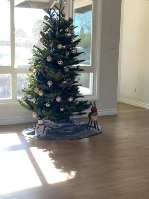 6 ft Douglas Fir Christmas tree and a Rudy