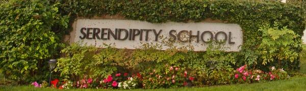 Serendipity School