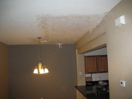 ceiling repair